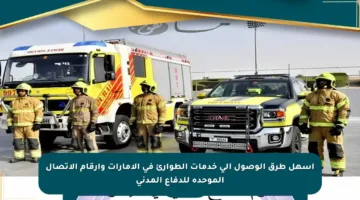 أسهل طرق الوصول إلى خدمات الطوارئ في الإمارات وأرقام الاتصال الموحدة للدفاع المدني